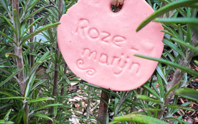 Maak je eigen naamlabels voor de moestuin