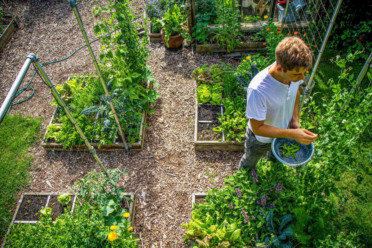 makkelijk moestuinieren