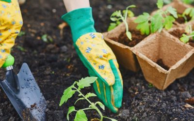 Dagelijkse klusjes in je tuin