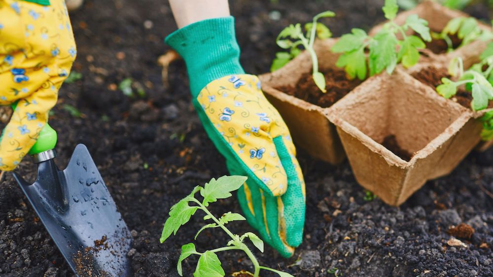 dagelijkse klusjes in je tuin