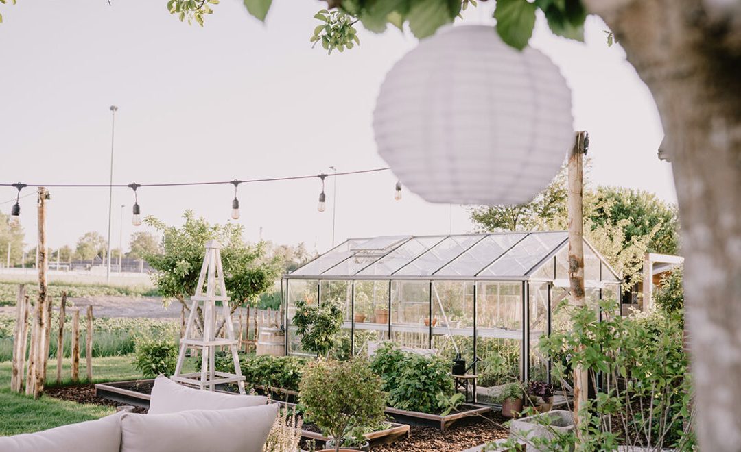 Gezelligheid in de moestuin