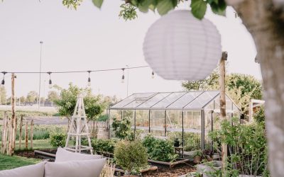 Gezelligheid in de moestuin