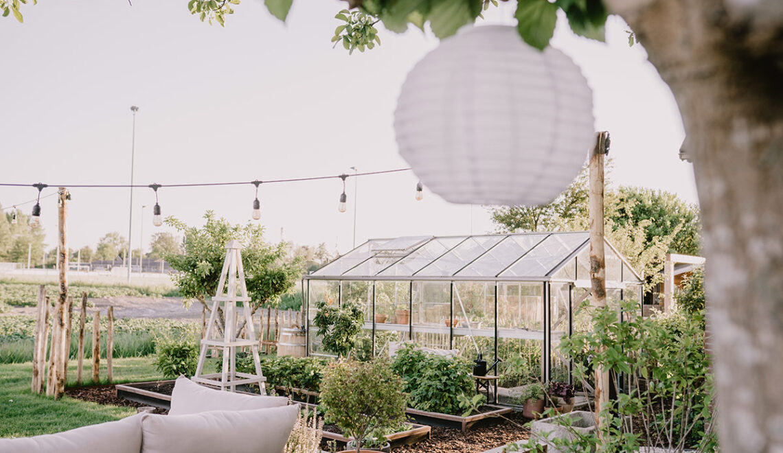 gezelligheid in de moestuin