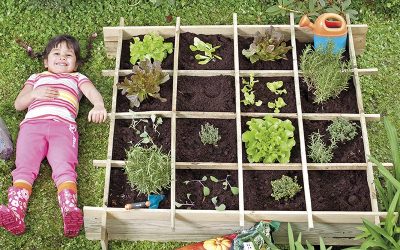 Kinderen in de moestuin