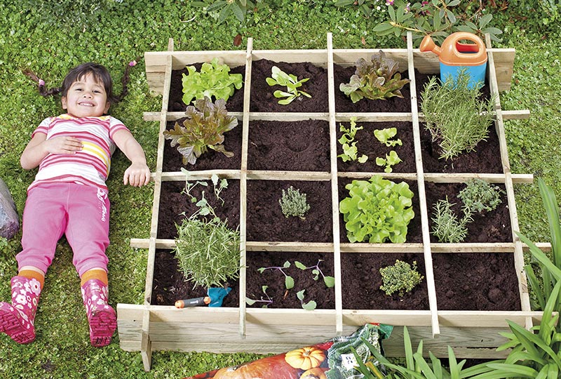 kinderen in de moestuin