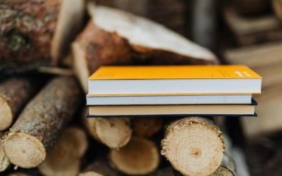 BlijeBlaadjes e-books