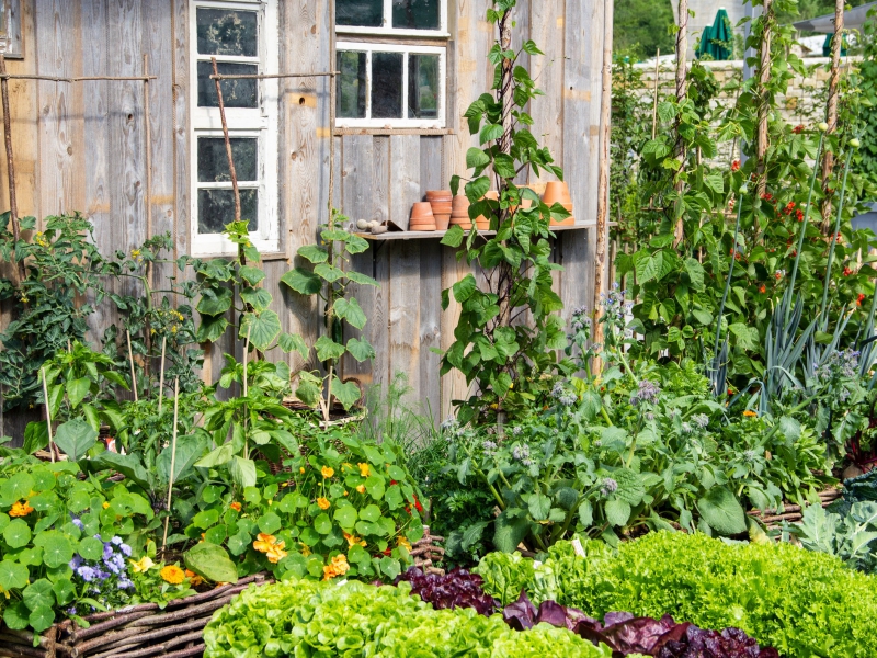 Waarom jouw tuin geen planning nodig heeft