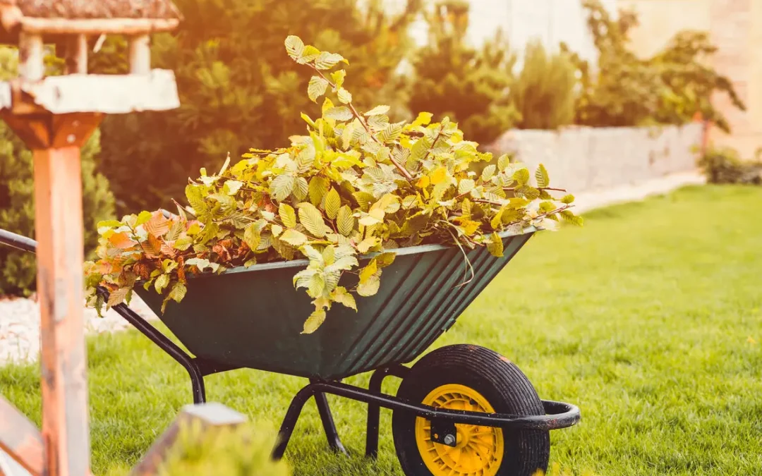 Loslaten in de tuin én in jezelf
