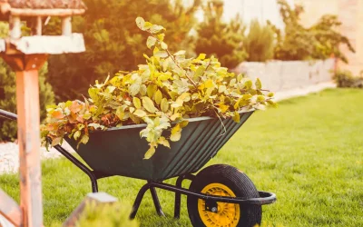 Loslaten in de tuin én in jezelf