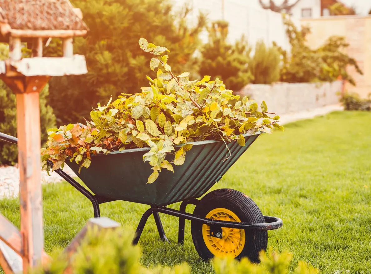 Loslaten in de tuin en in jezelf