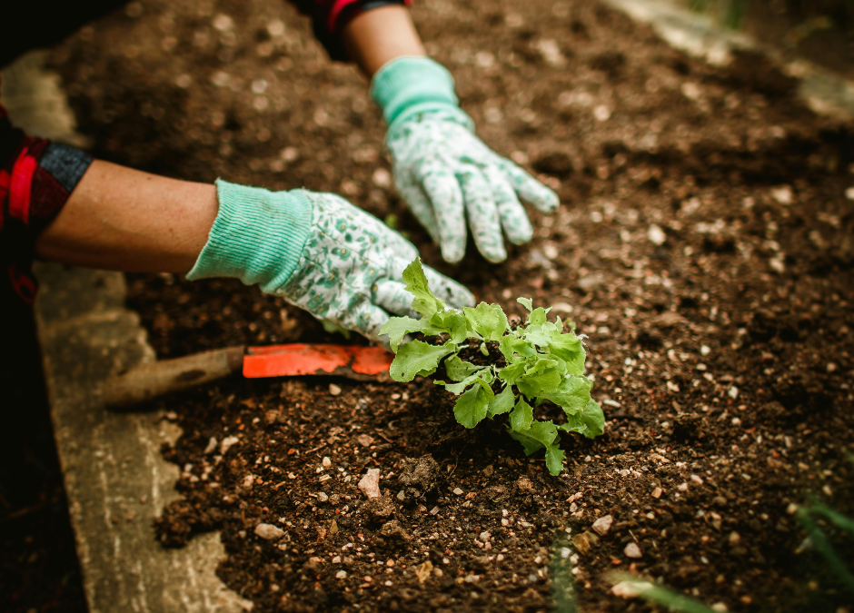 Van Onrust naar Oogst