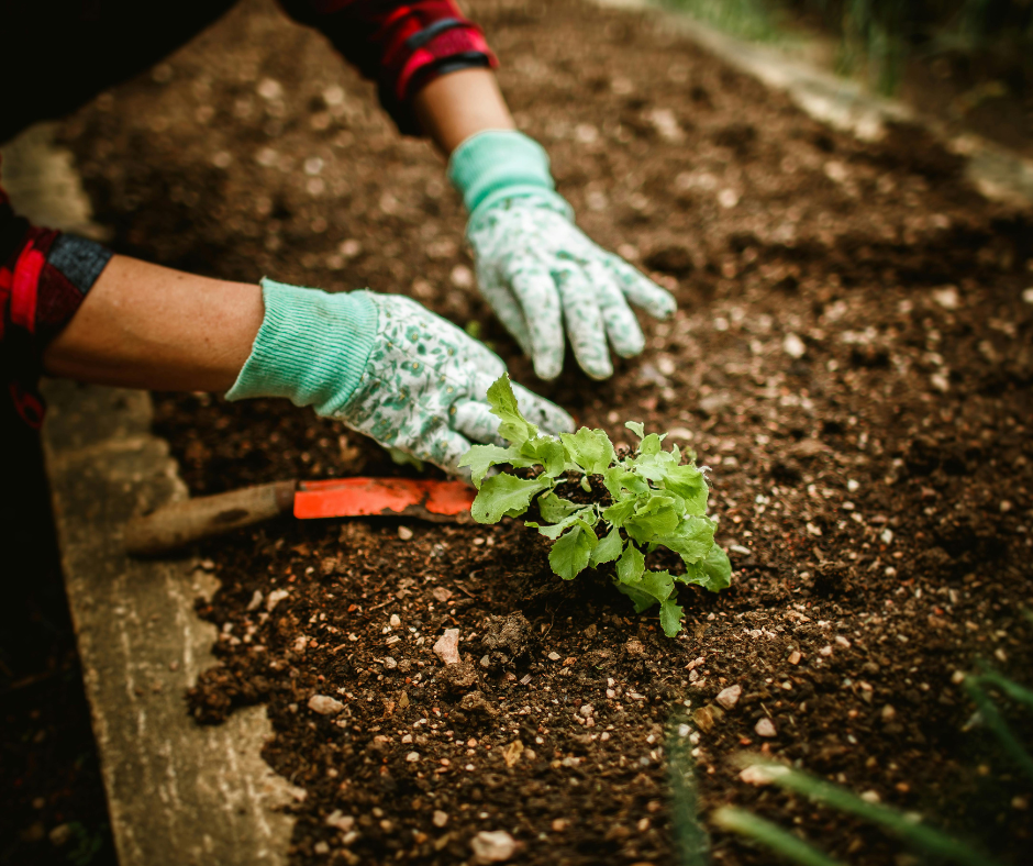 Van onrust naar oogst
