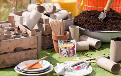 Voorzaaien van bloemen voor een volle pluktuin volgend jaar
