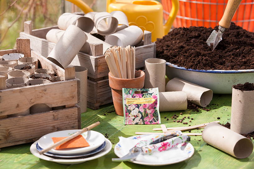 Voorzaaien van bloemen voor een volle pluktuin volgend jaar