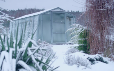 Je tuin voorbereiden op de winter