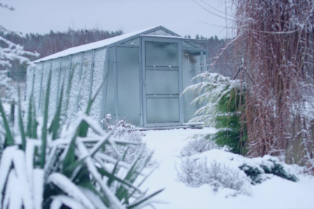 tuin voorbereiden op de winter
