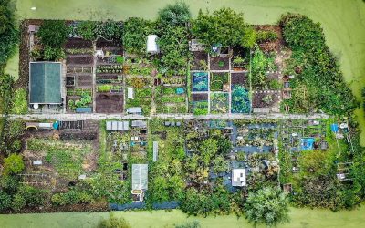 Moestuincomplex, zo vind je jouw stukje groen geluk dichtbij huis