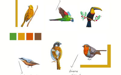 De winter is bijna voorbij, tijd om naar buiten te gaan