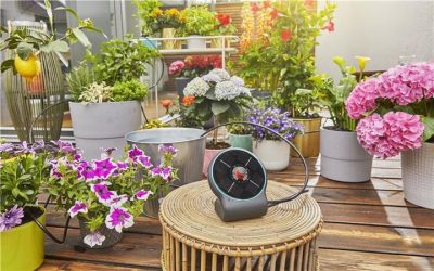 Hoe vaak moet je een moestuin water geven