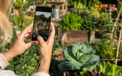 Fotograferen in de tuin – gewoon met je telefoon